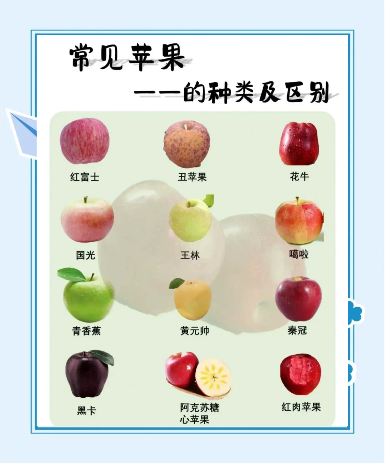 韩国版和美国版苹果区别(美版苹果和韩版苹果哪个好)-第4张图片-有道翻译官网