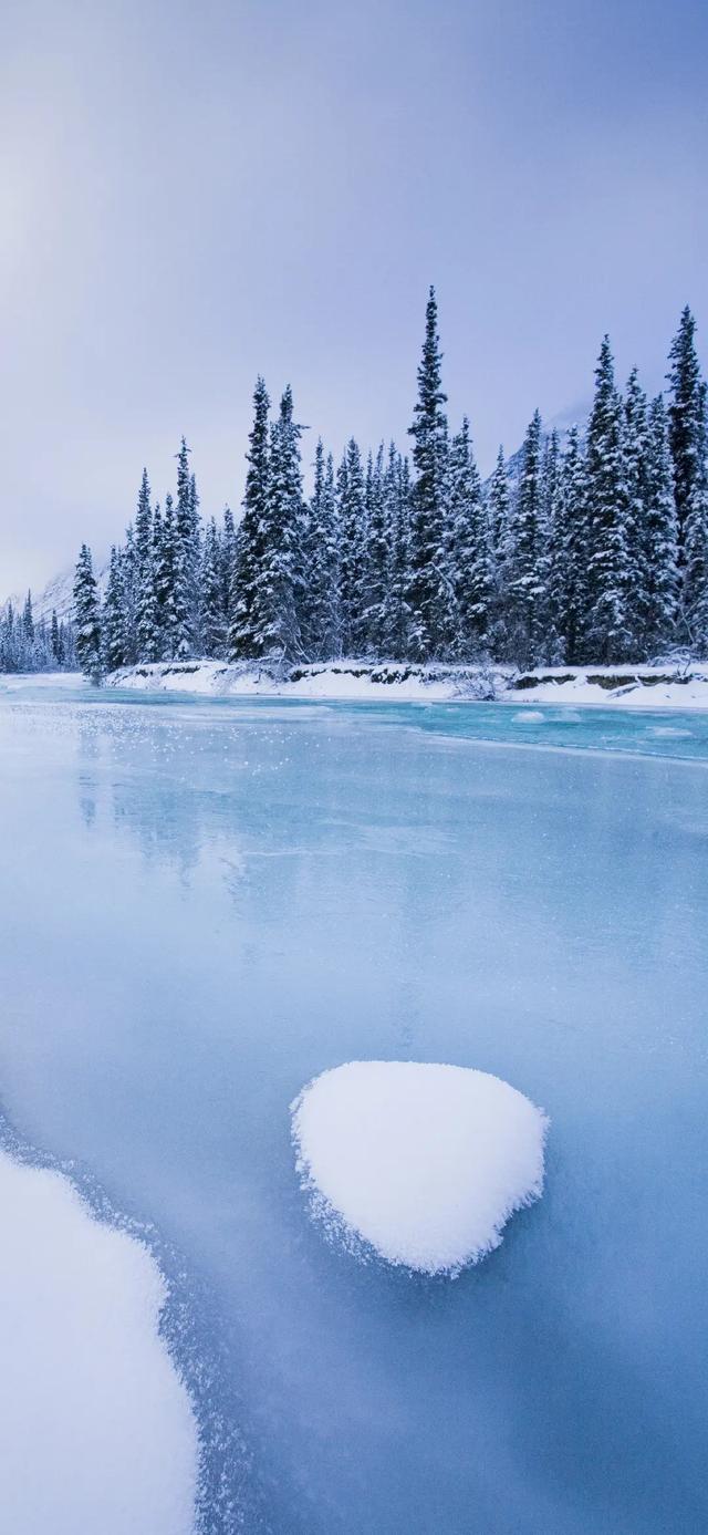 冬日调色苹果手机版(冬日调色苹果手机版下载)-第17张图片-有道翻译官网 冬日调色苹果手机版(冬日调色苹果手机版下载)-第17张图片-有道翻译官网