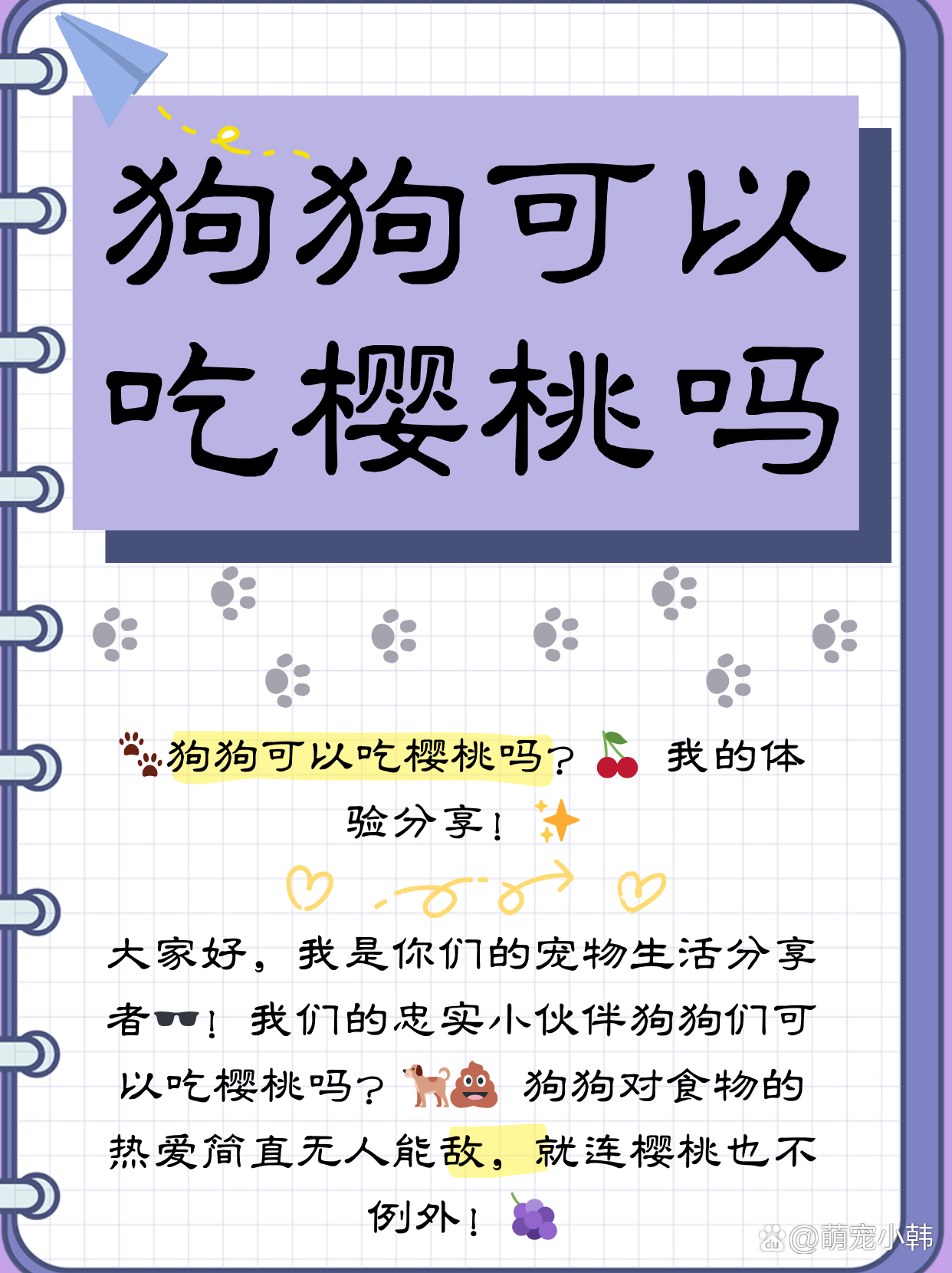 狗狗翻译器苹果版中文版(狗狗翻译机手机版下载免费)-第5张图片-有道翻译官网