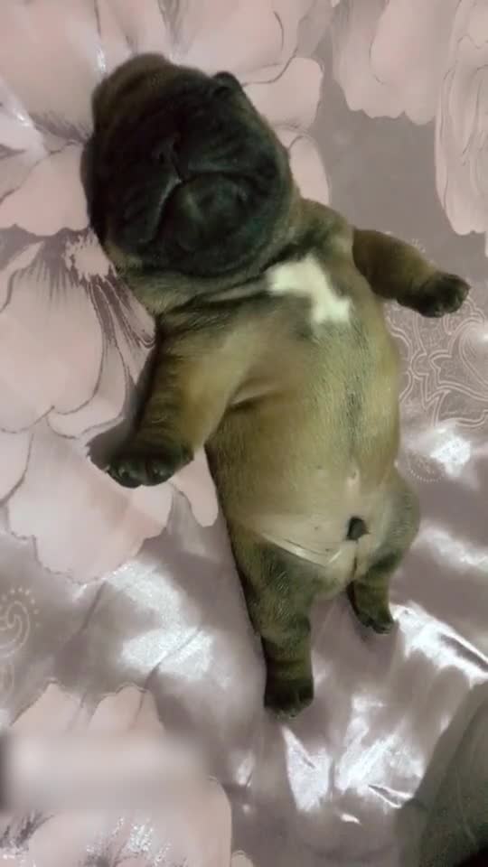 鬼畜版山寨苹果手机(鬼畜app下载ios)-第9张图片-有道翻译官网 鬼畜版山寨苹果手机(鬼畜app下载ios)-第9张图片-有道翻译官网